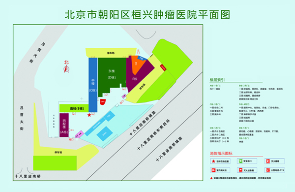 大鸡巴爆操骚逼逼免费视频网址北京市朝阳区桓兴肿瘤医院平面图